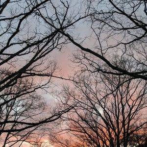 Meet your Posher, Haddie